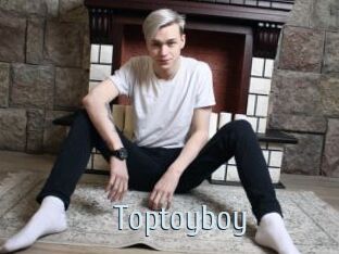 Toptoyboy