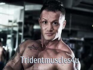 Tridentmuscles4u