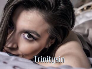 trinitysin Ta Model