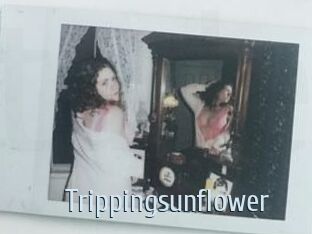 Trippingsunflower