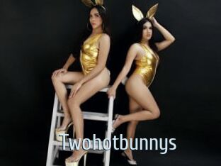 Twohotbunnys