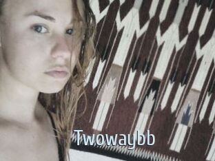 twowaybb Ta Model