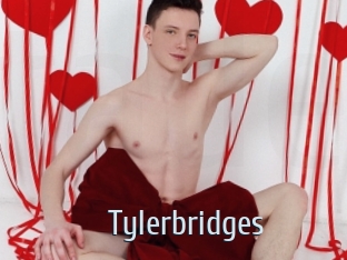 Tylerbridges