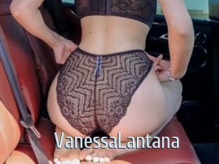 VanessaLantana