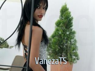VanezaTS Ta Model