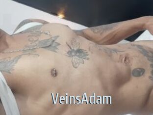 VeinsAdam Ta Model
