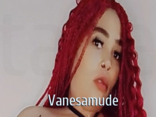 Vanesamude