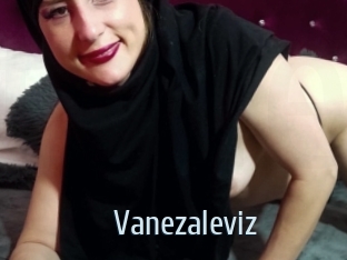 Vanezaleviz