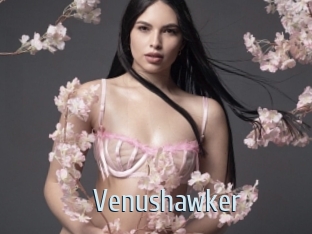 Venushawker