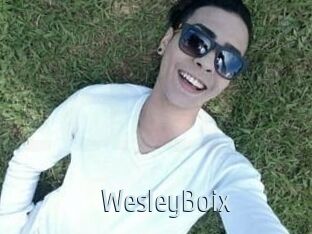 Wesley_Boix