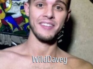 WildDavey