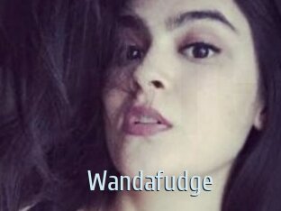 Wandafudge