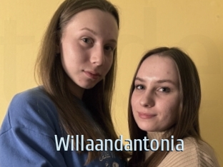 Willaandantonia