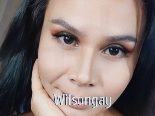 Wilsongay