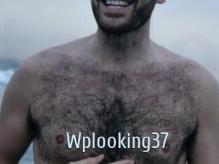 Wplooking37