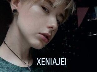 XENIA_JEI