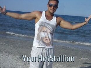 YourHotStallion