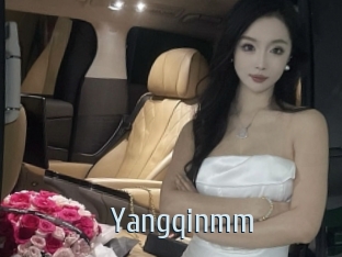 Yangqinmm