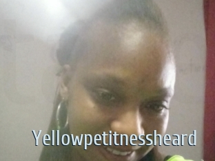 Yellowpetitnessheard