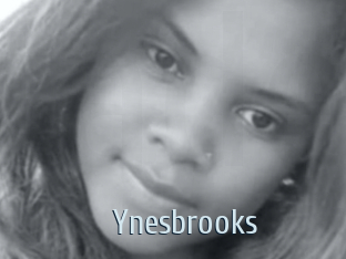 Ynesbrooks