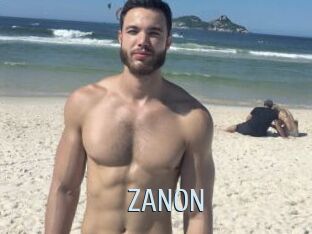 ZANON Ta Model