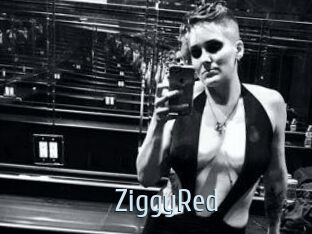 ZiggyRed