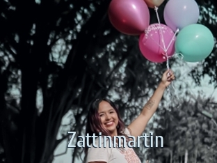 Zattinmartin