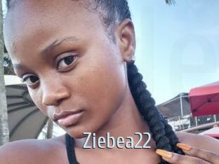Ziebea22