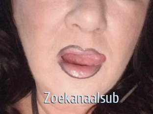 Zoekanaalsub